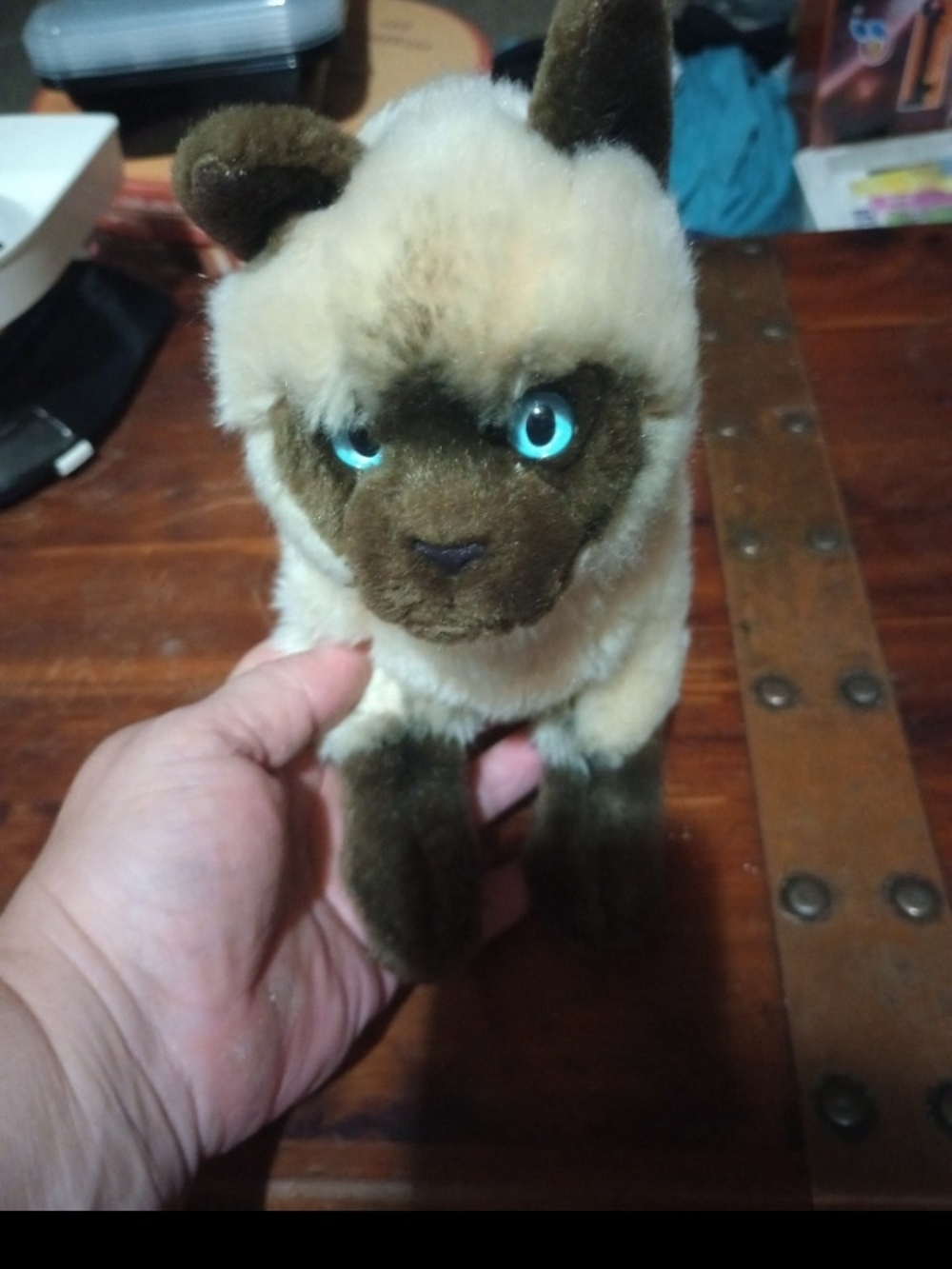 Plush Siamese-Style Small Pet Toy - Cream and Brown
